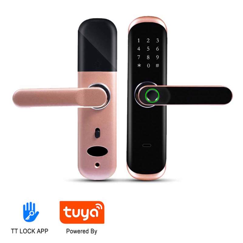 SA-B1 Smart TUYA Fingerprint Door Lock